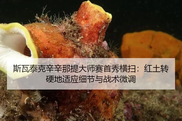 si-wa-tai-ke-xin-xin-na-ti-da-shi-sai-shou-xiu-heng-sao-hong-tu-zhuan-ying-di-shi-ying-xi-jie-yu-zhan-shu-wei-diao-1-870.jpg